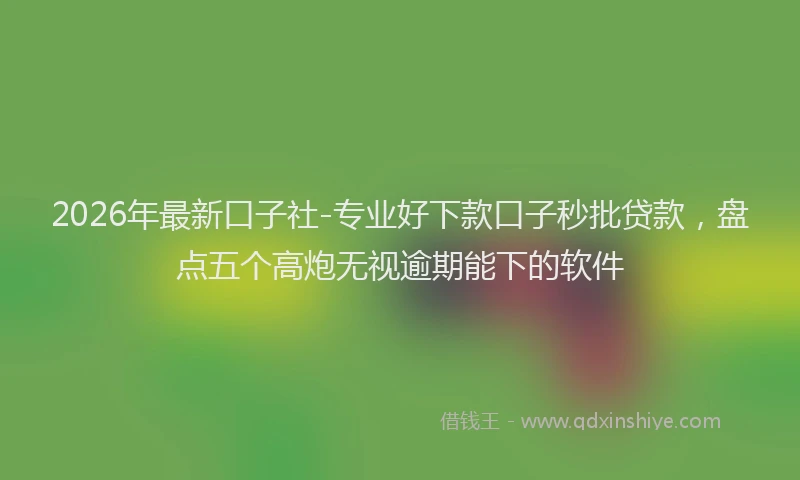 2026年最新口子社-专业好下款口子秒批贷款，盘点五个高炮无视逾期能下的软件