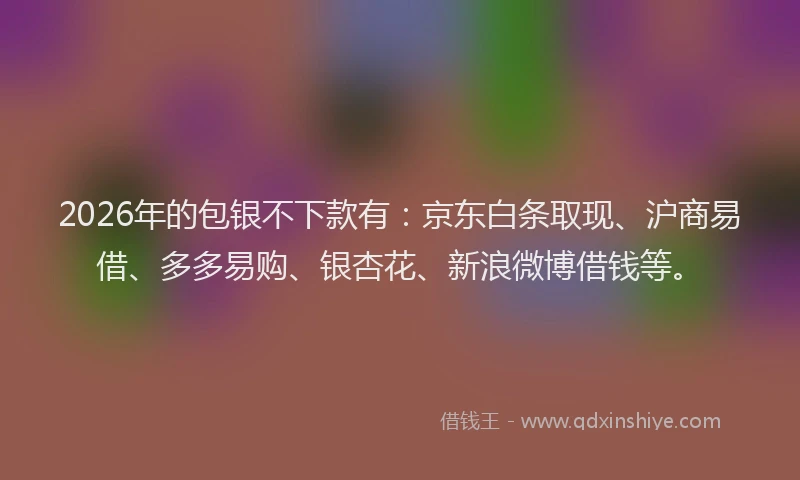 2026年的包银不下款有:京东白条取现、沪商易借、多多易购、银杏花、新浪微博借钱等。