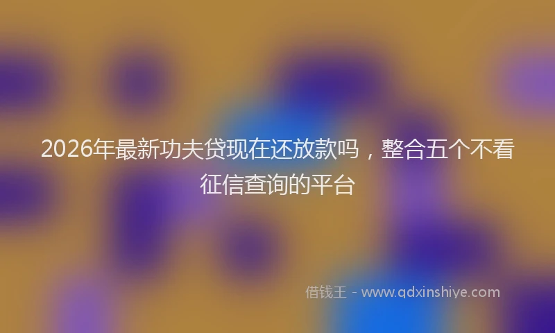 2026年最新功夫贷现在还放款吗，整合五个不看征信查询的平台