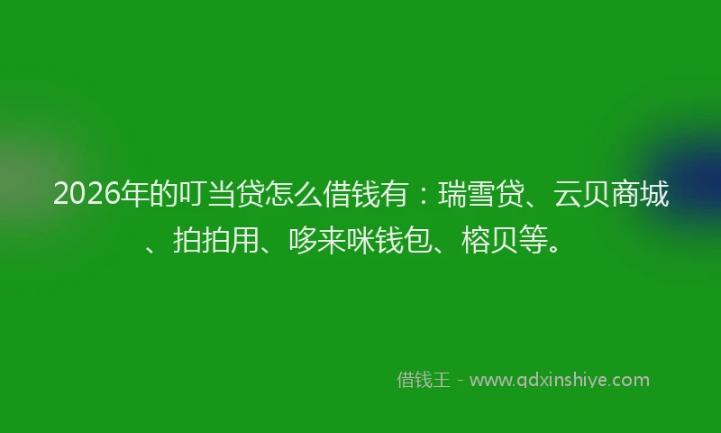 2026年的叮当贷怎么借钱有:瑞雪贷、云贝商城、拍拍用、哆来咪钱包、榕贝等。