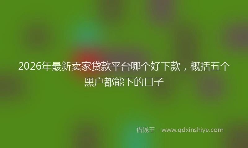 2026年最新卖家贷款平台哪个好下款，概括五个黑户都能下的口子