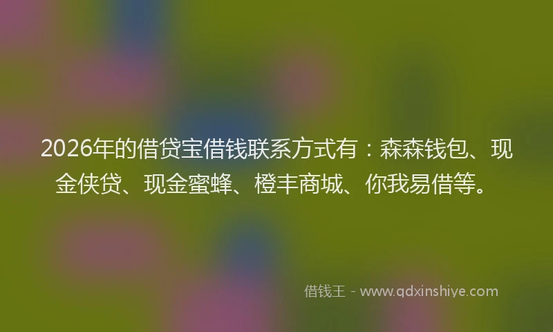 2026年的借贷宝借钱联系方式有：森森钱包、现金侠贷、现金蜜蜂、橙丰商城、你我易借等。