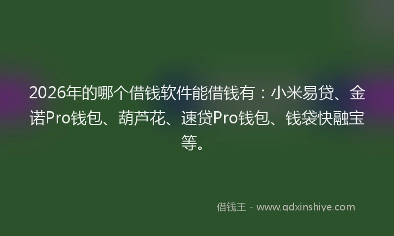 2026年的哪个借钱软件能借钱有：小米易贷、金诺Pro钱包、葫芦花、速贷Pro钱包、钱袋快融宝等。