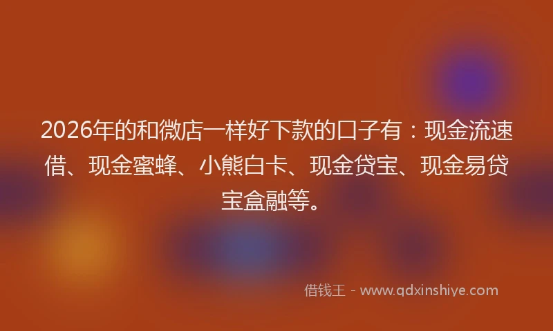2026年的和微店一样好下款的口子有：现金流速借、现金蜜蜂、小熊白卡、现金贷宝、现金易贷宝盒融等。