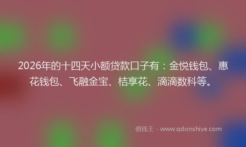 2026年的十四天小额贷款口子有:金悦钱包、惠花钱包、飞融金宝、桔享花、滴滴数科等。
