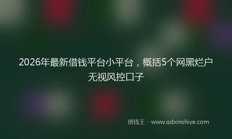 2026年最新借钱平台小平台，概括5个网黑烂户无视风控口子