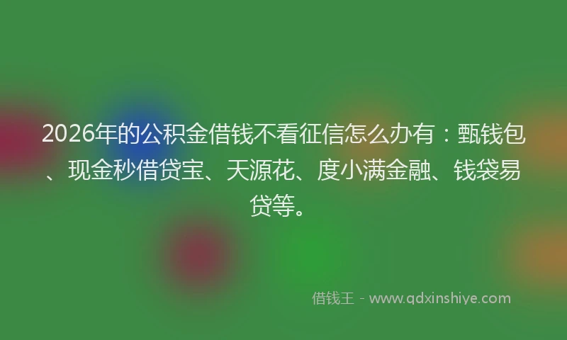 2026年的公积金借钱不看征信怎么办有：甄钱包、现金秒借贷宝、天源花、度小满金融、钱袋易贷等。