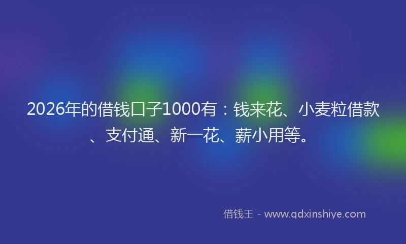 2026年的借钱口子1000有：钱来花、小麦粒借款、支付通、新一花、薪小用等。