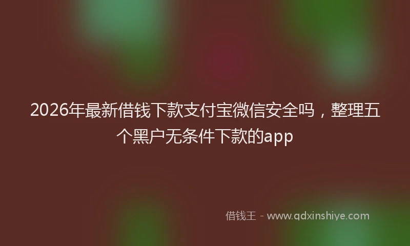 2026年最新借钱下款支付宝微信安全吗，整理五个黑户无条件下款的app