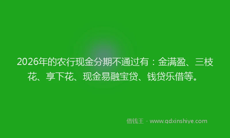 2026年的农行现金分期不通过有：金满盈、三枝花、享下花、现金易融宝贷、钱贷乐借等。