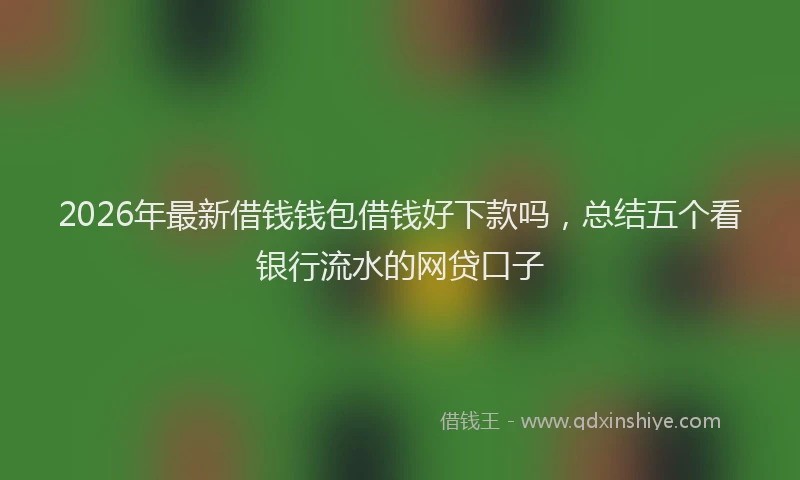 2026年最新借钱钱包借钱好下款吗，总结五个看银行流水的网贷口子