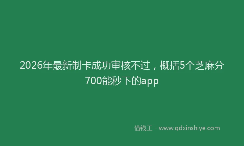 2026年最新制卡成功审核不过，概括5个芝麻分700能秒下的app