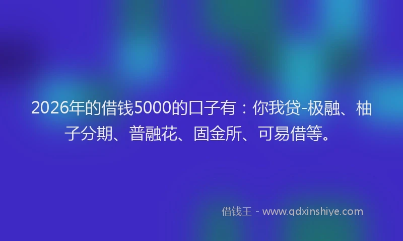 2026年的借钱5000的口子有:你我贷-极融、柚子分期、普融花、固金所、可易借等。