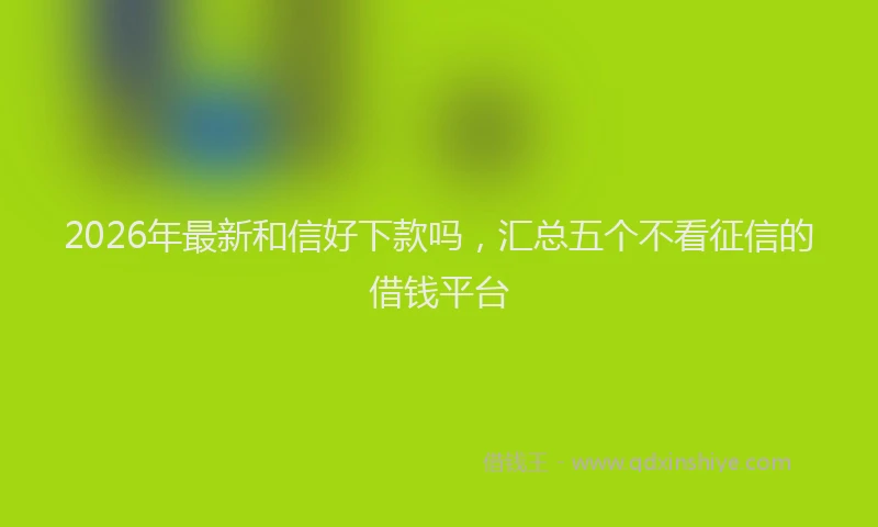 2026年最新和信好下款吗,汇总五个不看征信的借钱平台