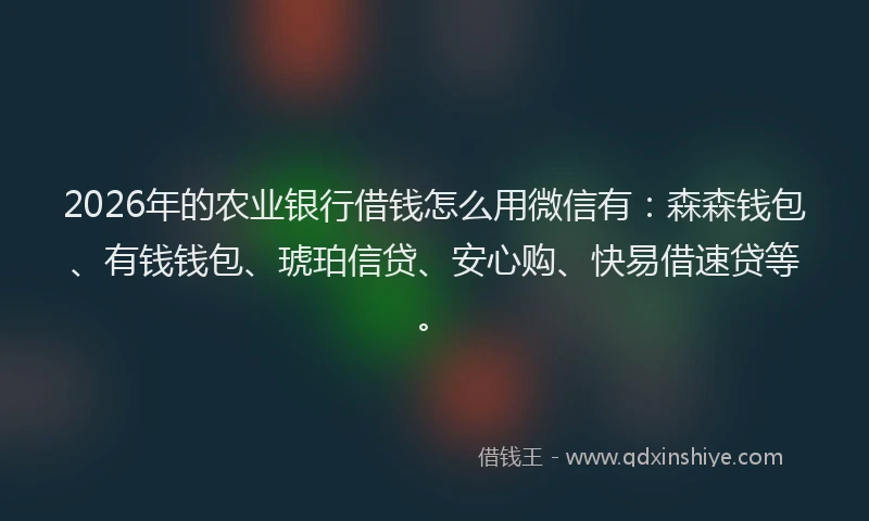 2026年的农业银行借钱怎么用微信有：森森钱包、有钱钱包、琥珀信贷、安心购、快易借速贷等。