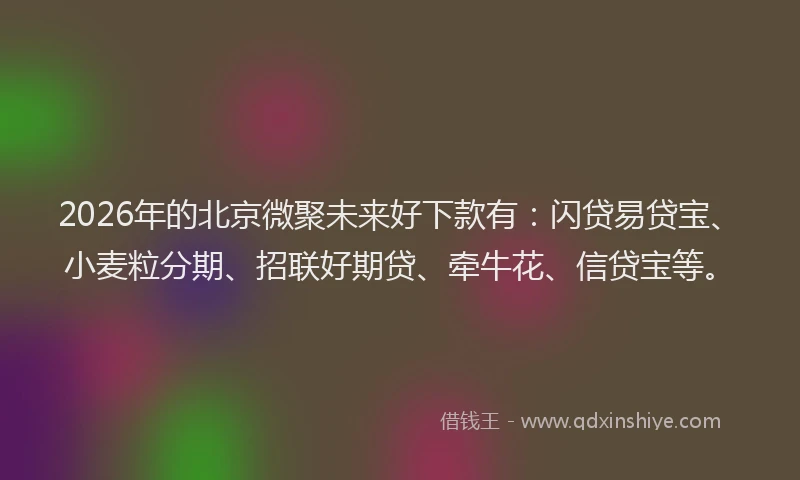 2026年的北京微聚未来好下款有：闪贷易贷宝、小麦粒分期、招联好期贷、牵牛花、信贷宝等。