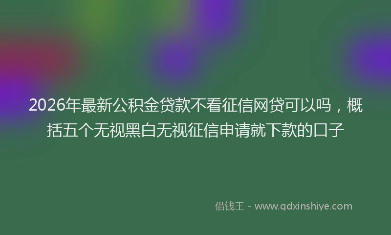2026年最新公积金贷款不看征信网贷可以吗,概括五个无视黑白无视征信申请就下款的口子