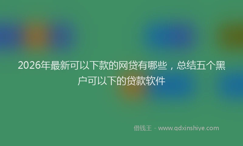 2026年最新可以下款的网贷有哪些,总结五个黑户可以下的贷款软件