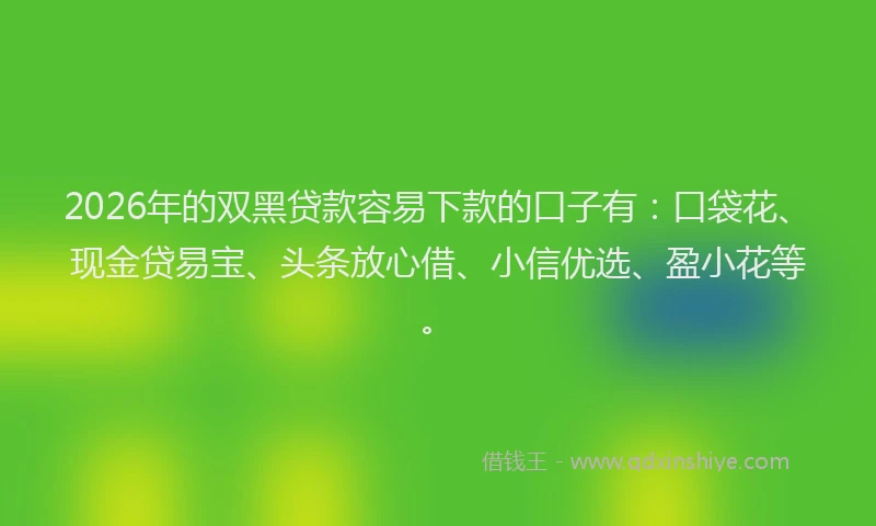 2026年的双黑贷款容易下款的口子有：口袋花、现金贷易宝、头条放心借、小信优选、盈小花等。