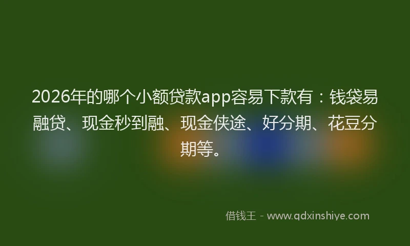 2026年的哪个小额贷款app容易下款有:钱袋易融贷、现金秒到融、现金侠途、好分期、花豆分期等。