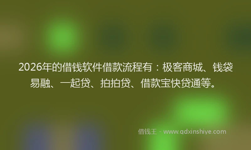 2026年的借钱软件借款流程有：极客商城、钱袋易融、一起贷、拍拍贷、借款宝快贷通等。