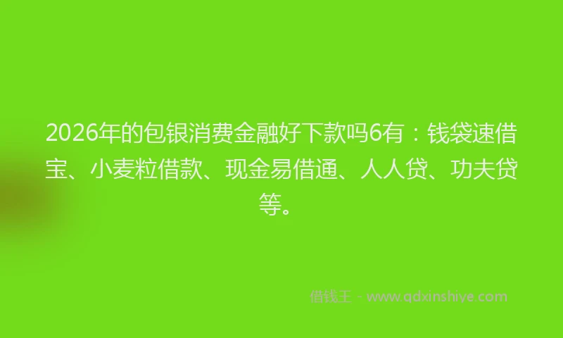 2026年的包银消费金融好下款吗6有：钱袋速借宝、小麦粒借款、现金易借通、人人贷、功夫贷等。