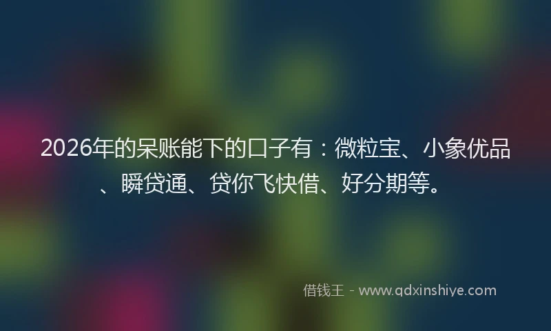 2026年的呆账能下的口子有:微粒宝、小象优品、瞬贷通、贷你飞快借、好分期等。