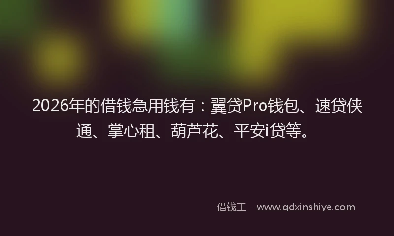 2026年的借钱急用钱有：翼贷Pro钱包、速贷侠通、掌心租、葫芦花、平安i贷等。