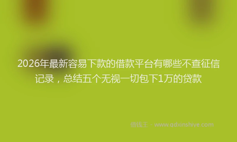 2026年最新容易下款的借款平台有哪些不查征信记录，总结五个无视一切包下1万的贷款