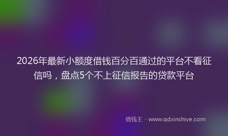 2026年最新小额度借钱百分百通过的平台不看征信吗，盘点5个不上征信报告的贷款平台