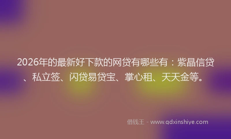 2026年的最新好下款的网贷有哪些有：紫晶信贷、私立签、闪贷易贷宝、掌心租、天天金等。
