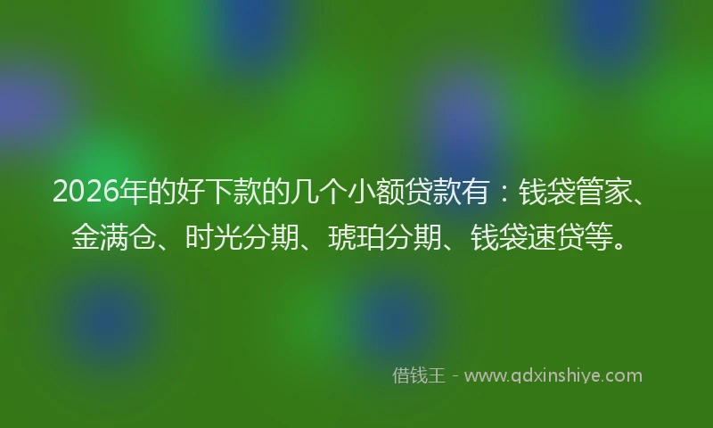 2026年的好下款的几个小额贷款有：钱袋管家、金满仓、时光分期、琥珀分期、钱袋速贷等。