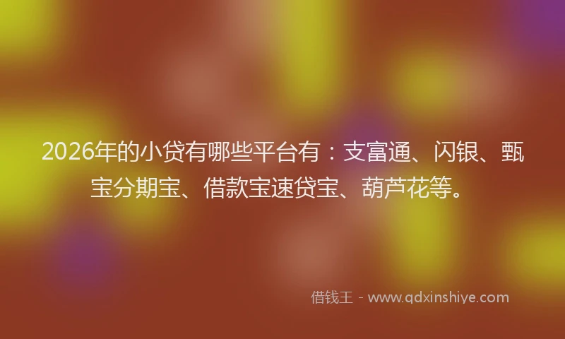 2026年的小贷有哪些平台有：支富通、闪银、甄宝分期宝、借款宝速贷宝、葫芦花等。