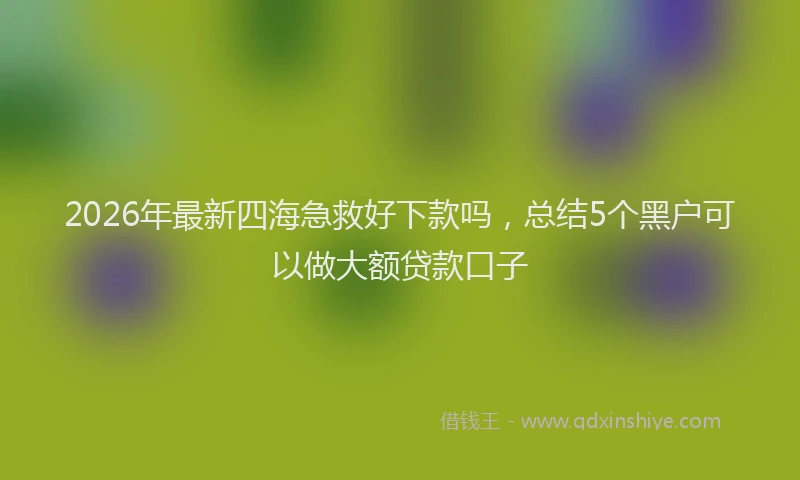 2026年最新四海急救好下款吗，总结5个黑户可以做大额贷款口子