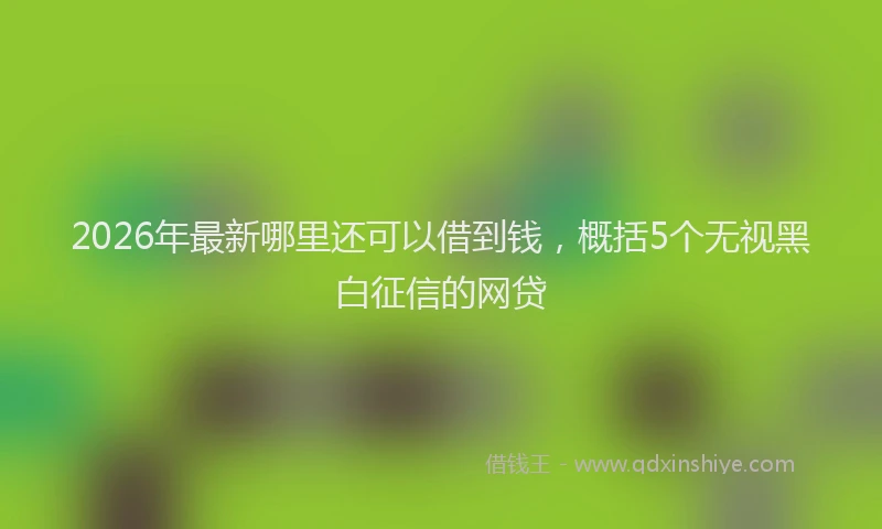 2026年最新哪里还可以借到钱,概括5个无视黑白征信的网贷