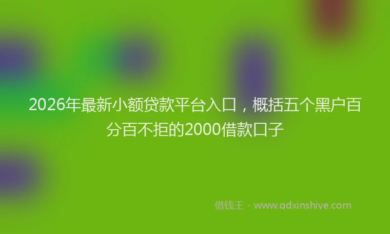 2026年最新小额贷款平台入口，概括五个黑户百分百不拒的2000借款口子