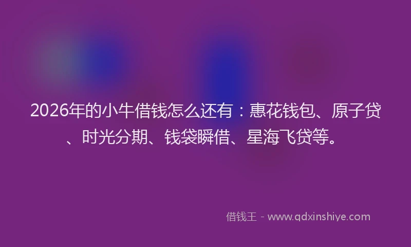 2026年的小牛借钱怎么还有：惠花钱包、原子贷、时光分期、钱袋瞬借、星海飞贷等。