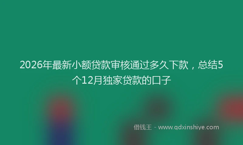 2026年最新小额贷款审核通过多久下款，总结5个12月独家贷款的口子