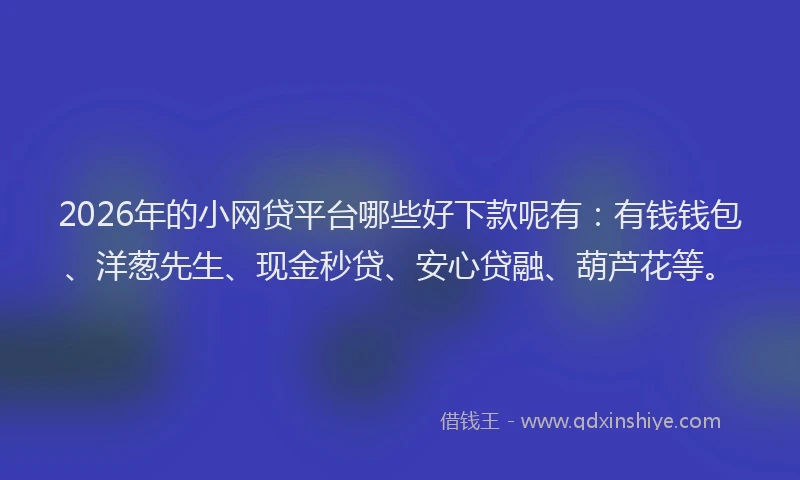 2026年的小网贷平台哪些好下款呢有：有钱钱包、洋葱先生、现金秒贷、安心贷融、葫芦花等。
