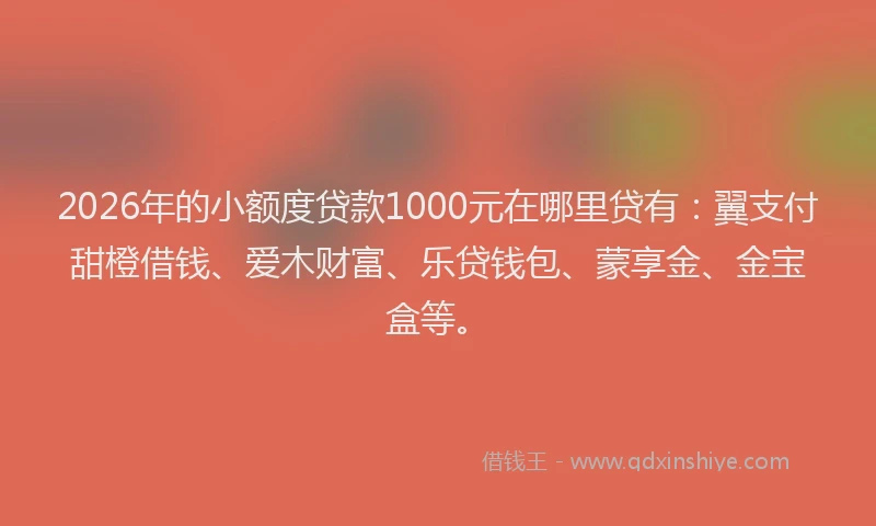 2026年的小额度贷款1000元在哪里贷有：翼支付甜橙借钱、爱木财富、乐贷钱包、蒙享金、金宝盒等。