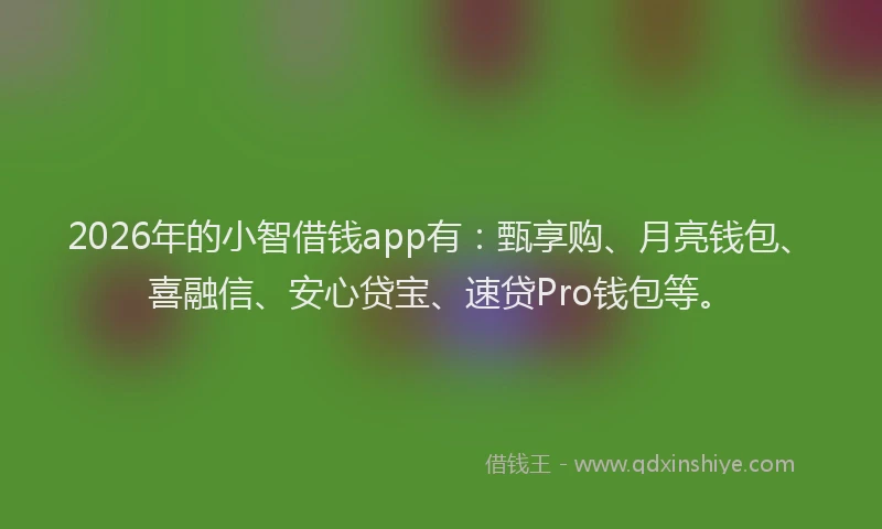 2026年的小智借钱app有：甄享购、月亮钱包、喜融信、安心贷宝、速贷Pro钱包等。
