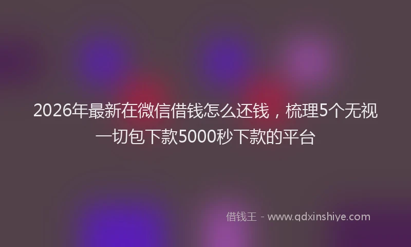 2026年最新在微信借钱怎么还钱，梳理5个无视一切包下款5000秒下款的平台