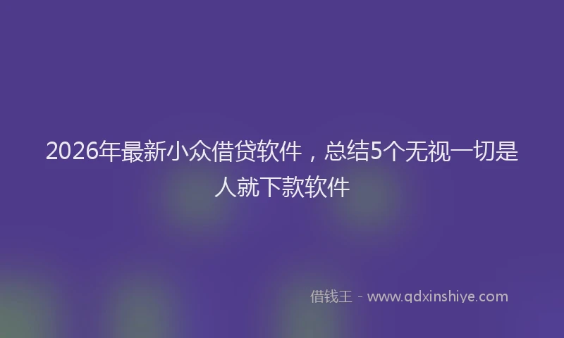 2026年最新小众借贷软件，总结5个无视一切是人就下款软件