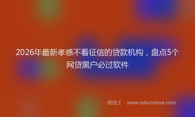 2026年最新孝感不看征信的贷款机构，盘点5个网贷黑户必过软件