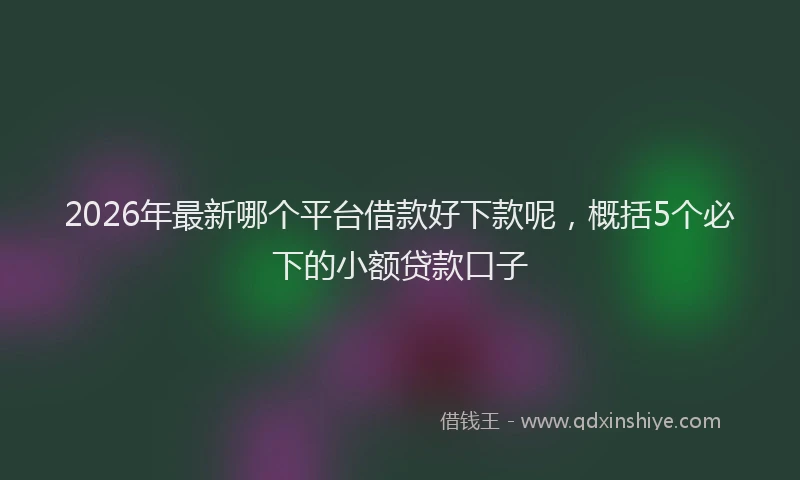 2026年最新哪个平台借款好下款呢,概括5个必下的小额贷款口子