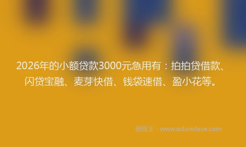 2026年的小额贷款3000元急用有：拍拍贷借款、闪贷宝融、麦芽快借、钱袋速借、盈小花等。