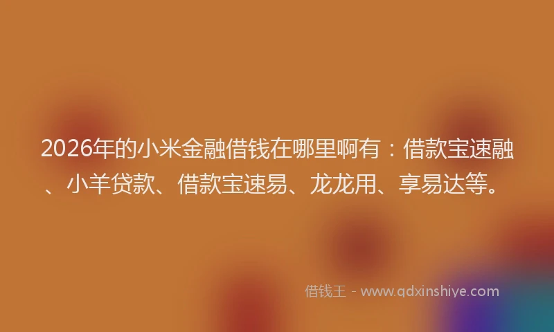 2026年的小米金融借钱在哪里啊有：借款宝速融、小羊贷款、借款宝速易、龙龙用、享易达等。