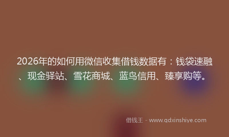 2026年的如何用微信收集借钱数据有：钱袋速融、现金驿站、雪花商城、蓝鸟信用、臻享购等。