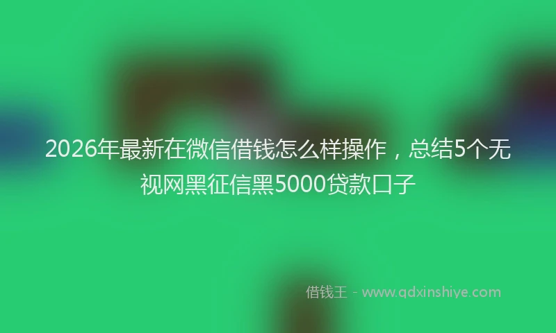 2026年最新在微信借钱怎么样操作，总结5个无视网黑征信黑5000贷款口子
