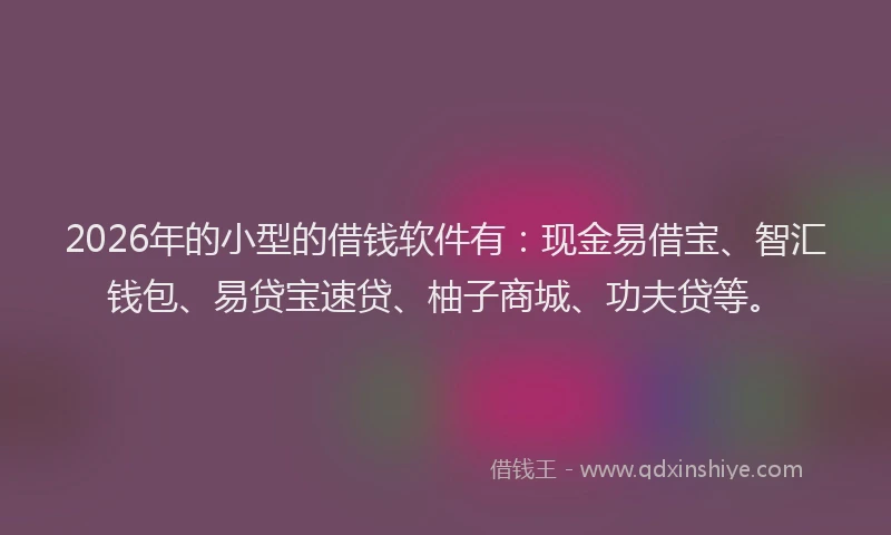 2026年的小型的借钱软件有：现金易借宝、智汇钱包、易贷宝速贷、柚子商城、功夫贷等。